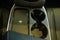 2026 Acura RDX Technology Package SH-AWD